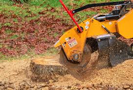 Best Lawn Irrigation Installation and Maintenance  in Wintersville, OH